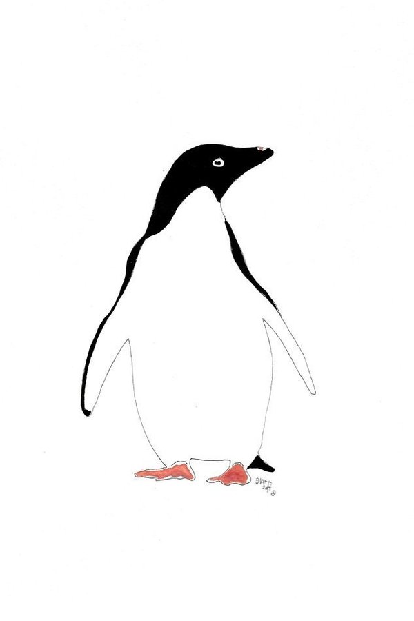 mini pinguin